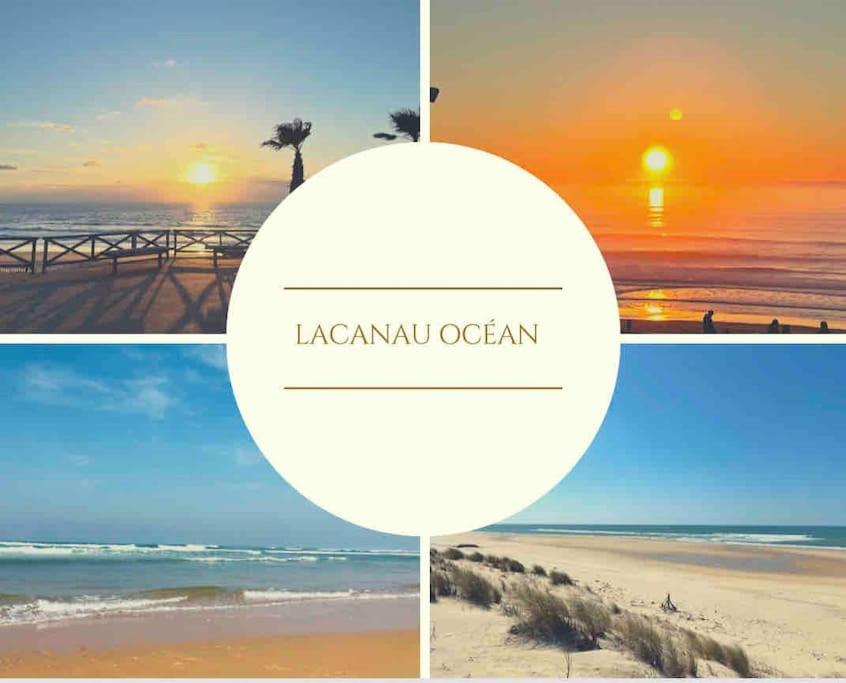 Cosy Studio Avec Vue Sur L'Ocean ラカノー エクステリア 写真